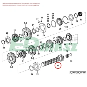 EJE TDF SDF FRUTTETO III 70 100 CLASSIC